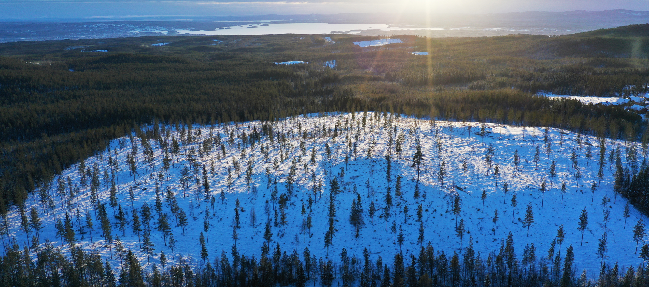 Flygvy över ett snötäckt skogsområde med solen som går upp i horisonten.